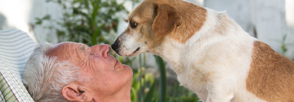 Old man resting in garden and cute dog climb on his chest and kissing him. Pet love concept