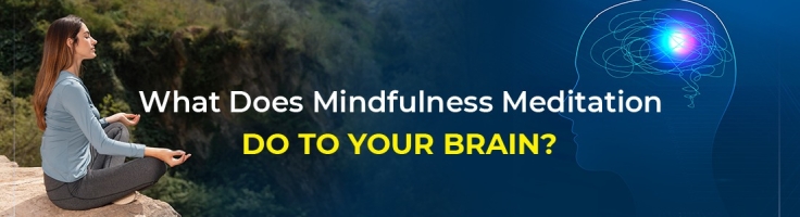 What Does Mindfulness Meditation Do to Your Brain? ShivYog